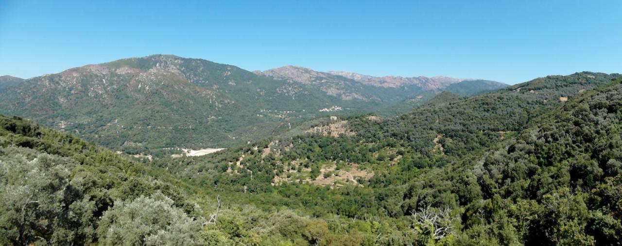 Casa Nepita Sur Vue Grandiose Apartment Santa-Lucia-di-Tallano Luaran gambar
