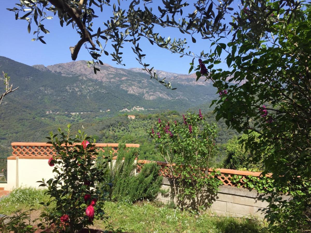 Casa Nepita Sur Vue Grandiose Apartment Santa-Lucia-di-Tallano Luaran gambar